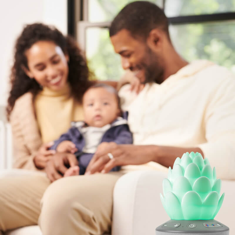 Skip Hop Cry-Activated Soother - Terra