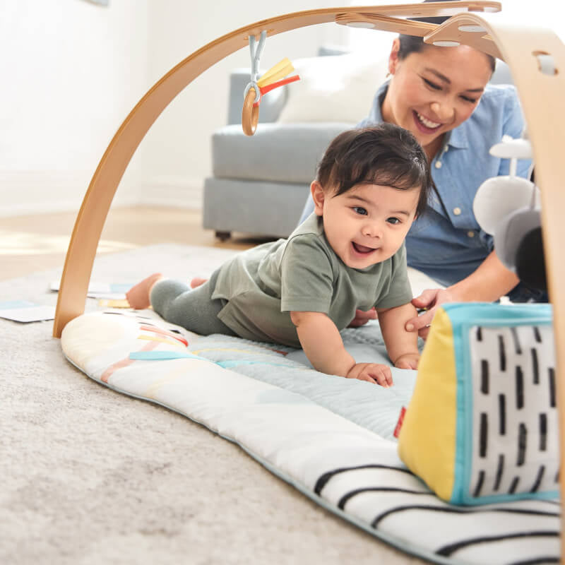 Discoverosity Deluxe Activity Gym
