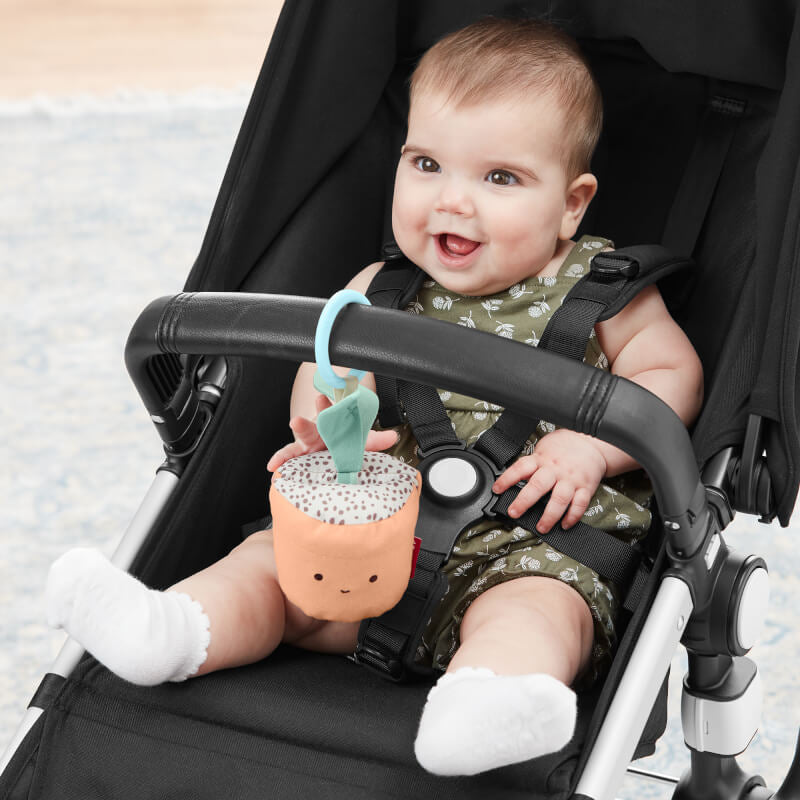 Skip Hop Garden Oasis Stroller Toy