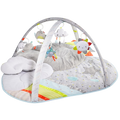 Silver Lining Cloud Activity Gym