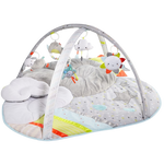 Silver Lining Cloud Activity Gym
