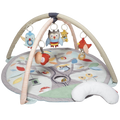 Treetop Friends Baby Activity Gym
