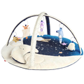 Celestial Dreams Activity Gym