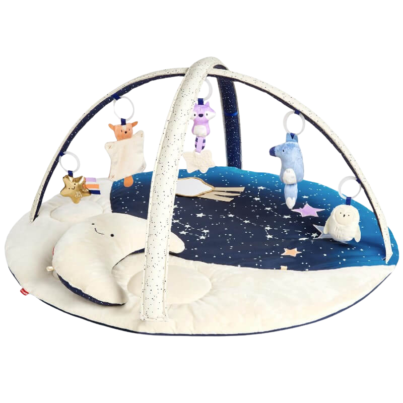 Celestial Dreams Activity Gym