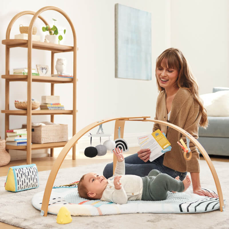 Discoverosity Deluxe Activity Gym