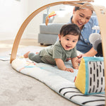 Discoverosity Deluxe Activity Gym