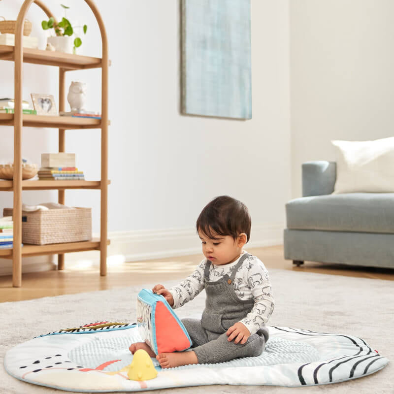 Discoverosity Deluxe Activity Gym