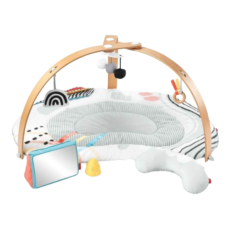 Discoverosity Deluxe Activity Gym