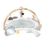 Discoverosity Deluxe Activity Gym