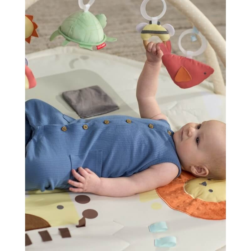 Skip Hop Geometric Wonders Activity Gym