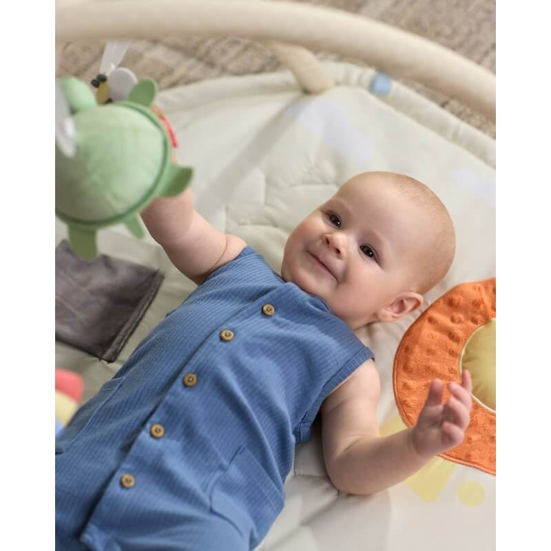 Skip Hop Geometric Wonders Activity Gym