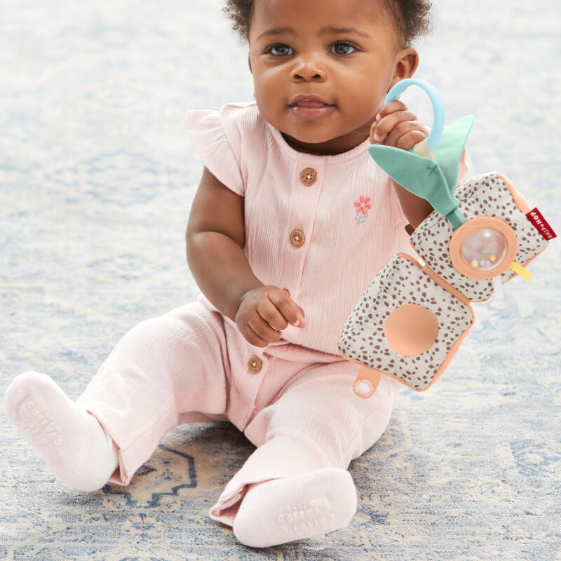 Skip Hop Garden Oasis Stroller Toy